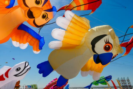 Capture 2 - Berck-sur-Mer - Rencontres de cerfs-volants (Copie)