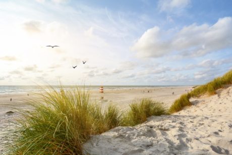 coxyde - Plopsaland, La Panne ou Coxyde (Copie)