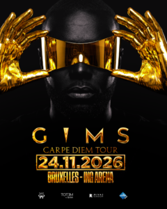 Photo Gims - Julien Doré à l'ING Arena (Copie) Photo Gims - Julien Doré à l'ING Arena (Copie)